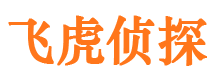 分宜市调查公司